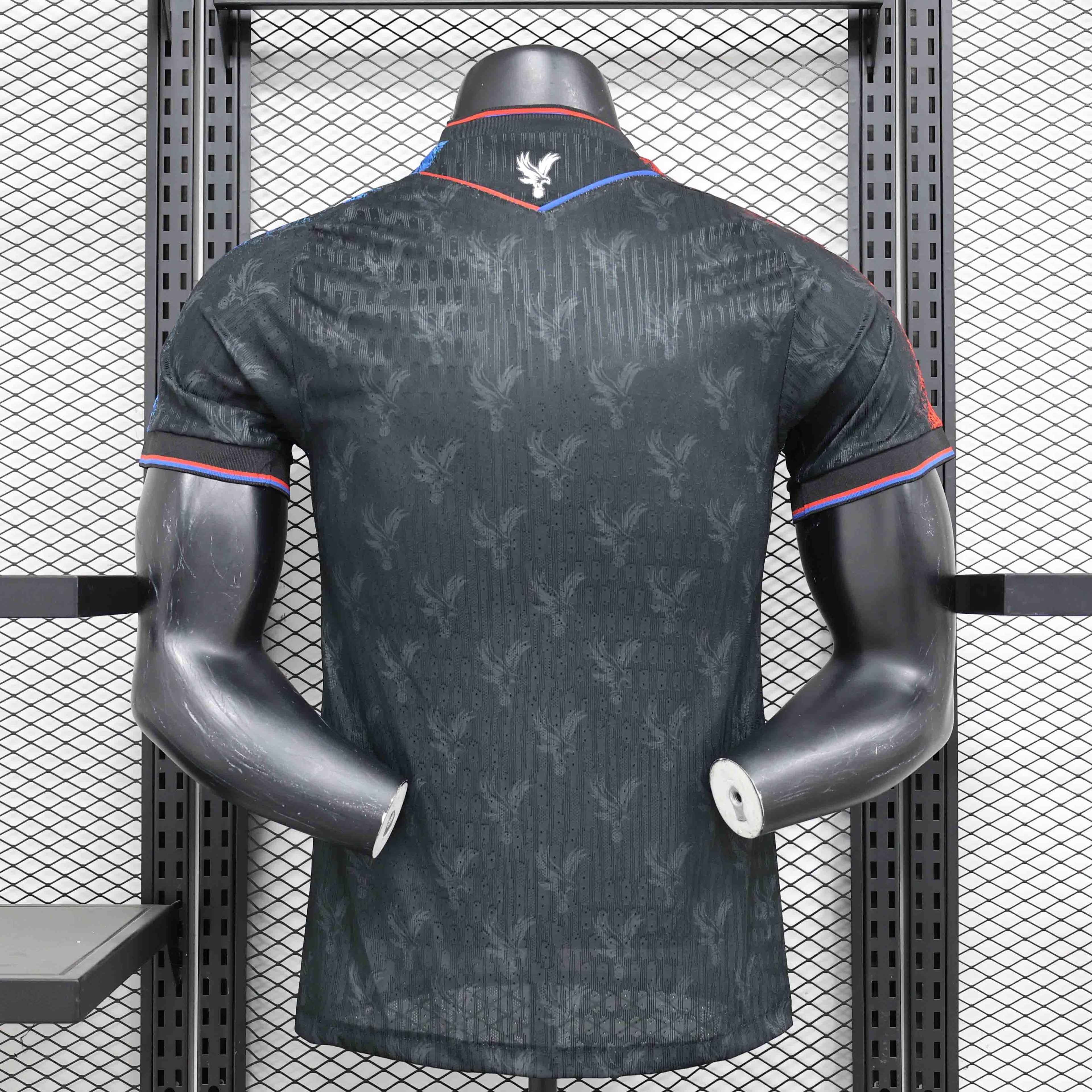 Crystal Palace 24/25 Third Kit - Player Version
