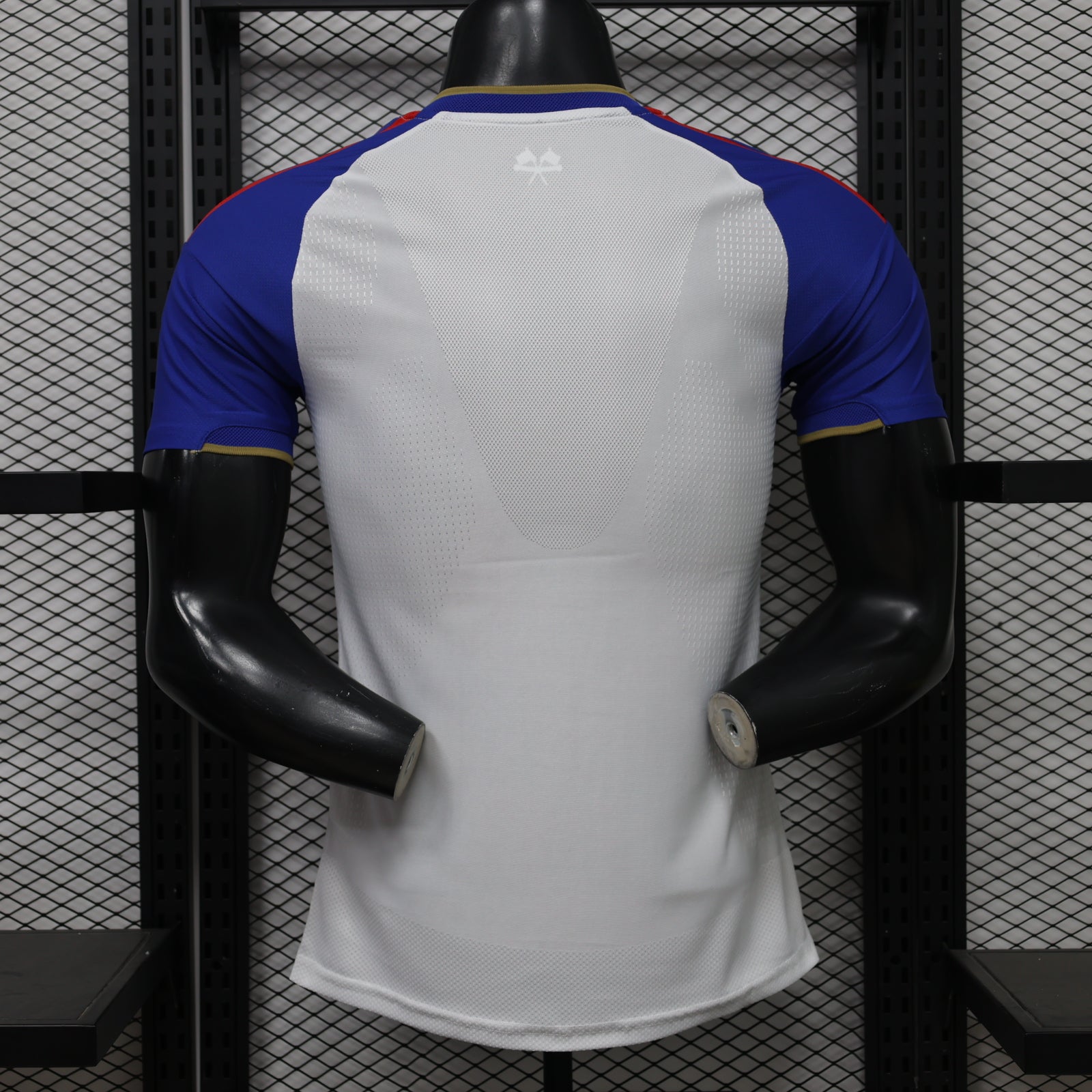 Lyon 26/27 Home Kit - Player Version